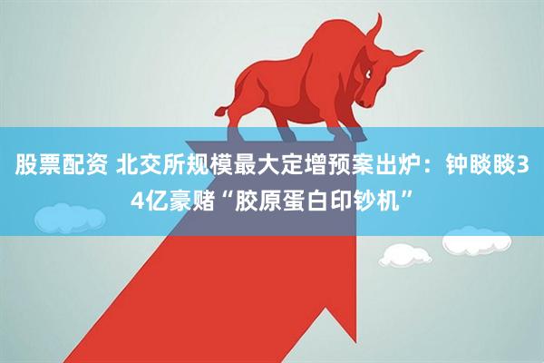 股票配资 北交所规模最大定增预案出炉：钟睒睒34亿豪赌“胶原蛋白印钞机”