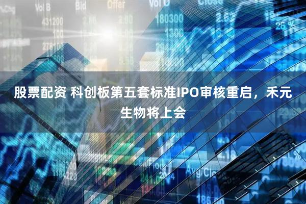 股票配资 科创板第五套标准IPO审核重启，禾元生物将上会