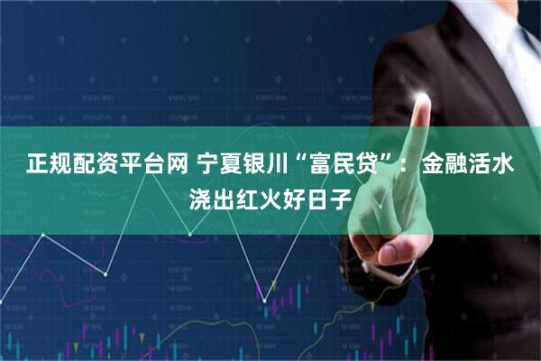 正规配资平台网 宁夏银川“富民贷”：金融活水浇出红火好日子